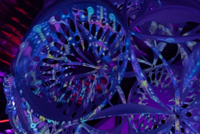DNA Laundry